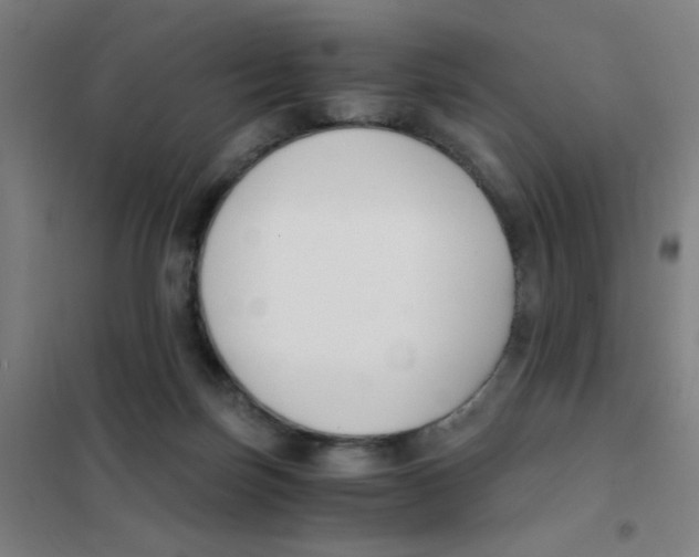 X0000101410171200808041113