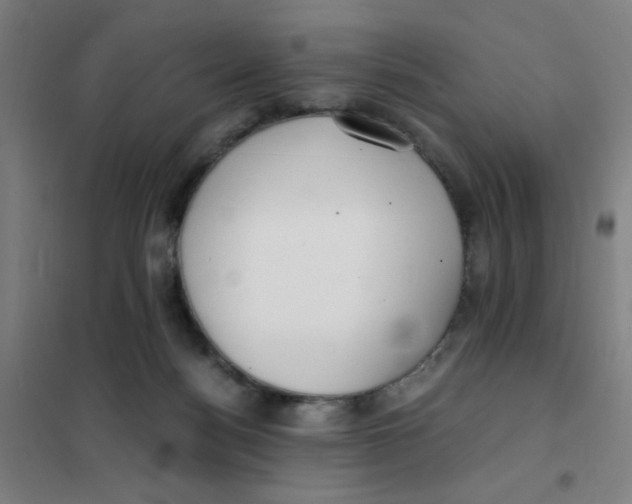 X0000101410172200808041113