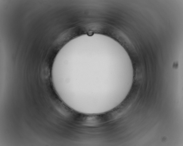 X0000101410173200808041113