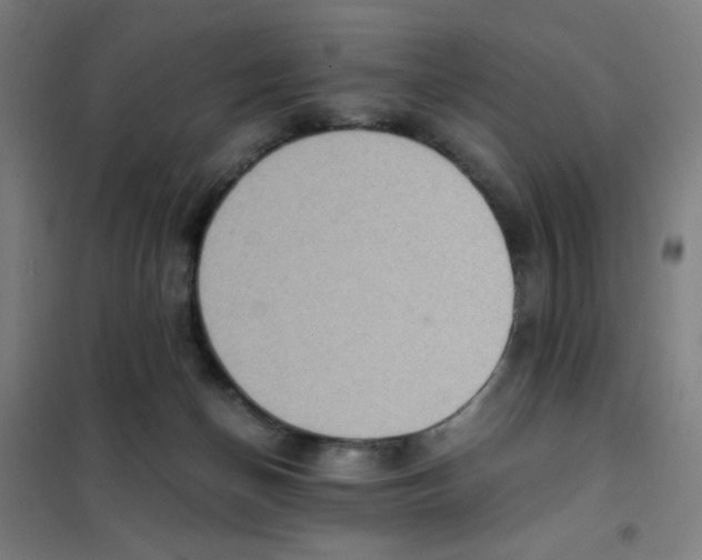 X0000101410174200808041113