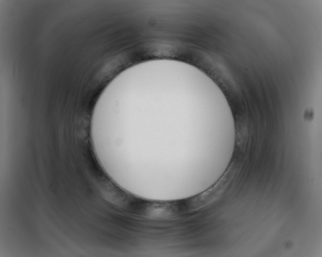 X0000101410175200808041113