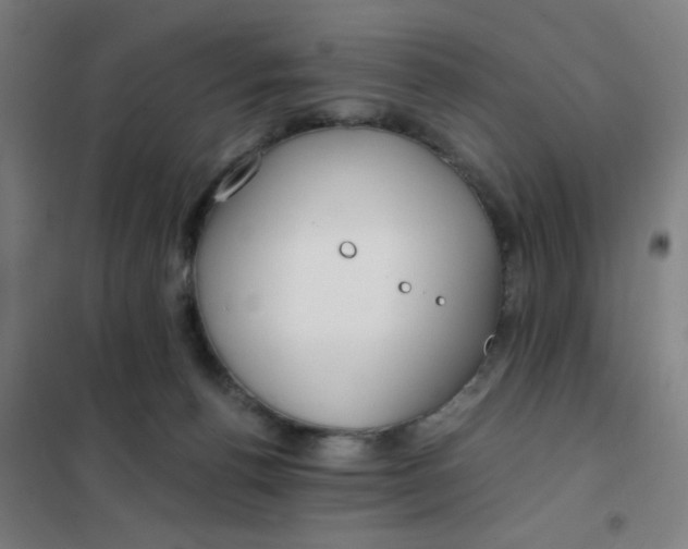 X0000101410176200808041113