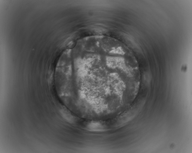 X0000101410177200808041113