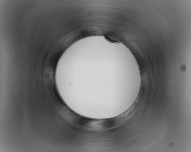 X0000101410178200808041113