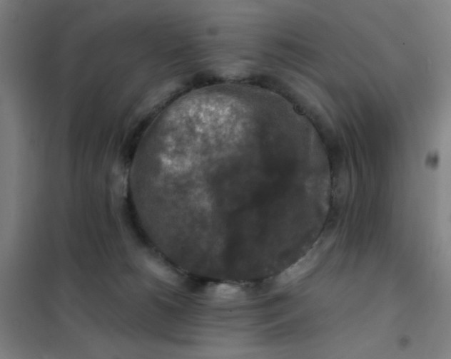 X0000101410180200808041113