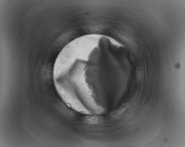 X0000101410181200808041113