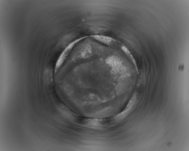 X0000101410182200808041113