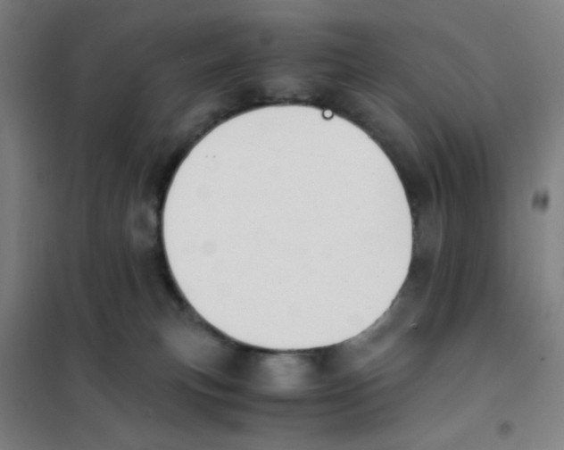 X0000101410183200808041113