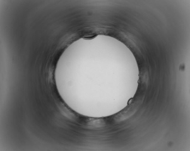 X0000101410185200808041113