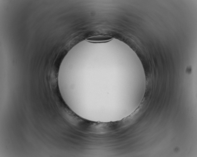 X0000101410186200808041113