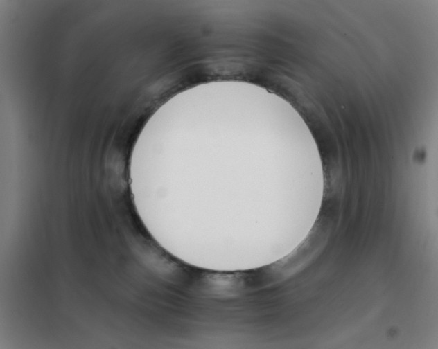 X0000101410187200808041113