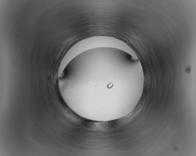 X0000101410188200808041113