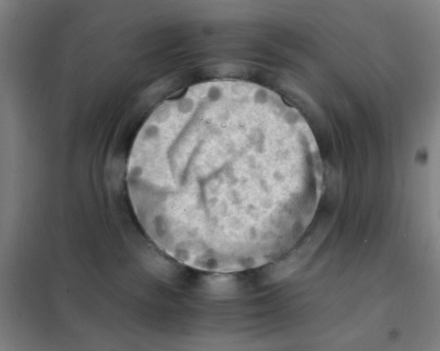 X0000101410189200808041113