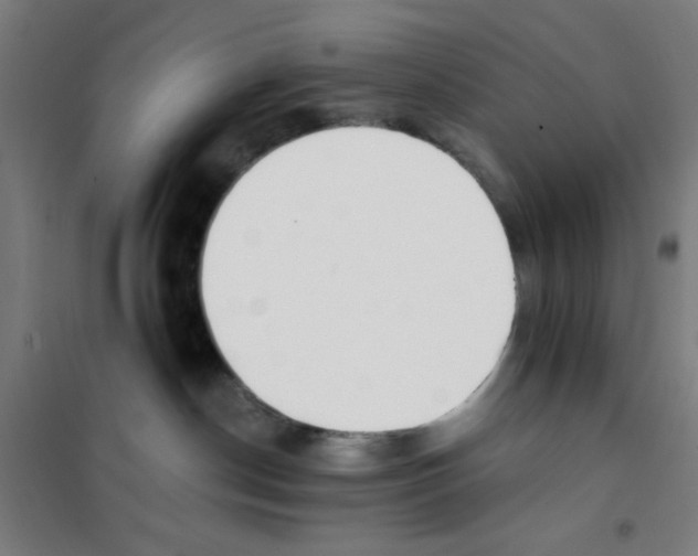 X0000101410190200808041113