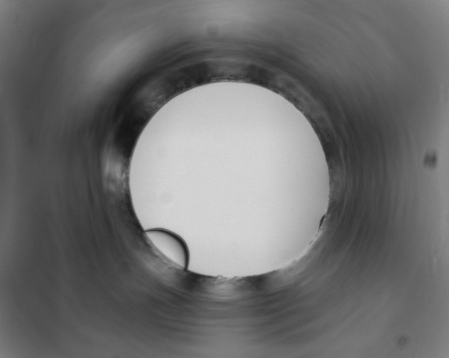 X0000101410191200808041113