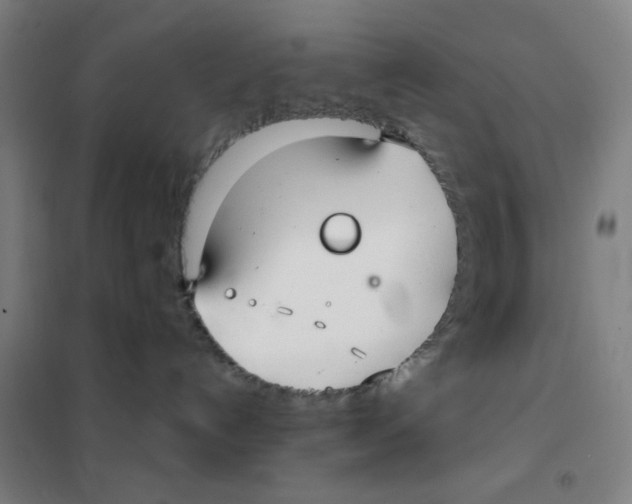 X0000101410192200808041113