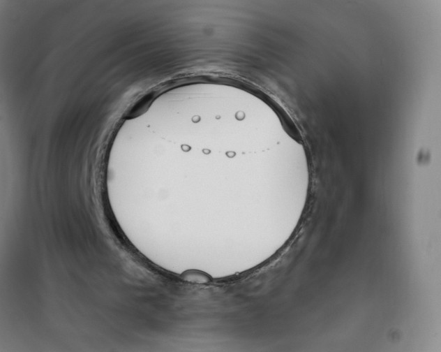 X0000101410193200808041112