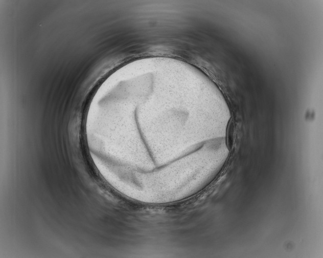 X0000101410194200808041112