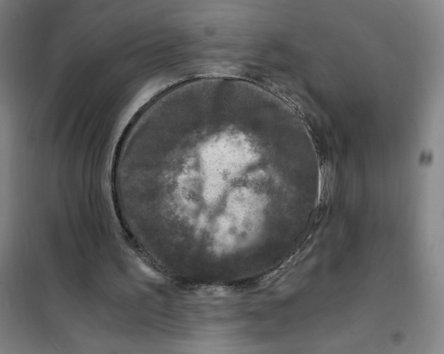 X0000101410195200808041112
