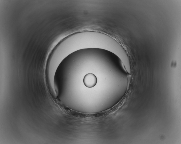 X0000101410196200808041112