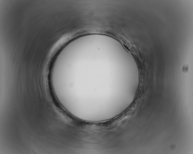 X0000101410197200808041112