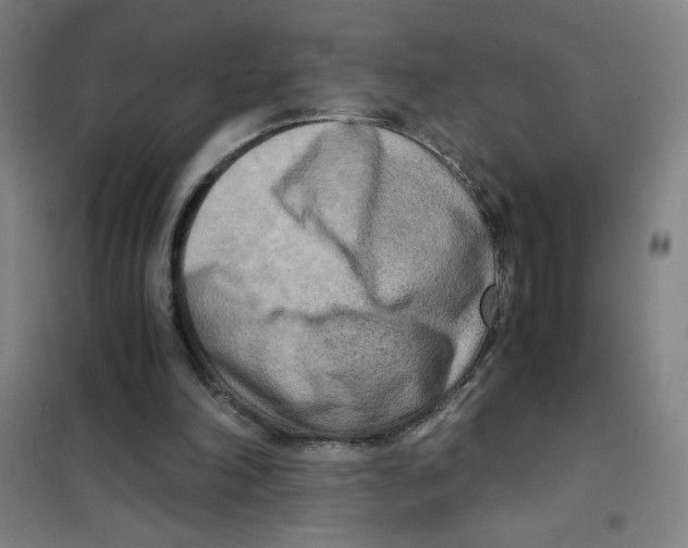 X0000101410198200808041112