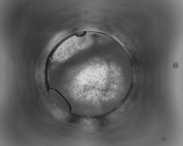 X0000101410199200808041112