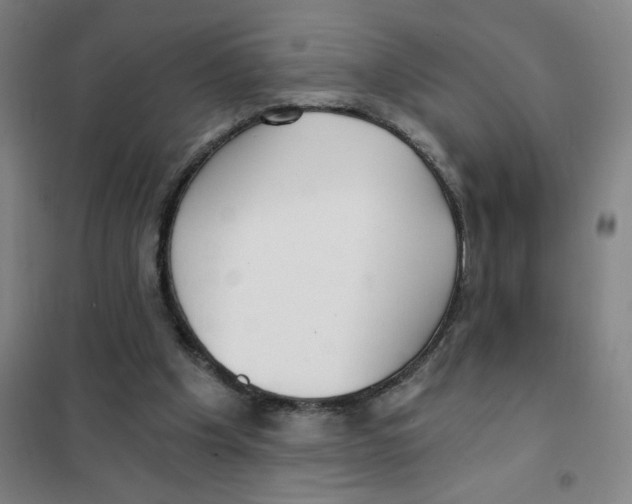 X0000101410201200808041112