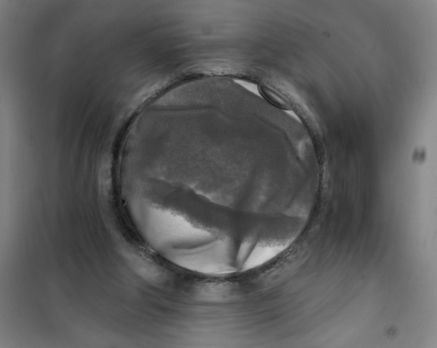 X0000101410202200808041112