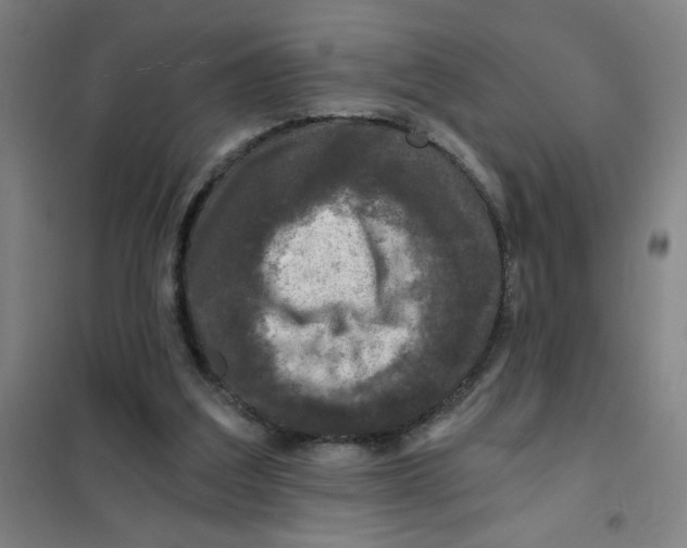 X0000101410203200808041112
