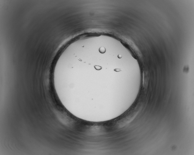 X0000101410204200808041112