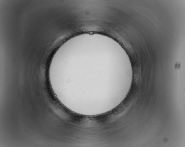 X0000101410207200808041112
