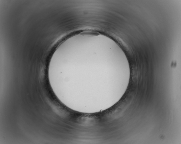 X0000101410208200808041112