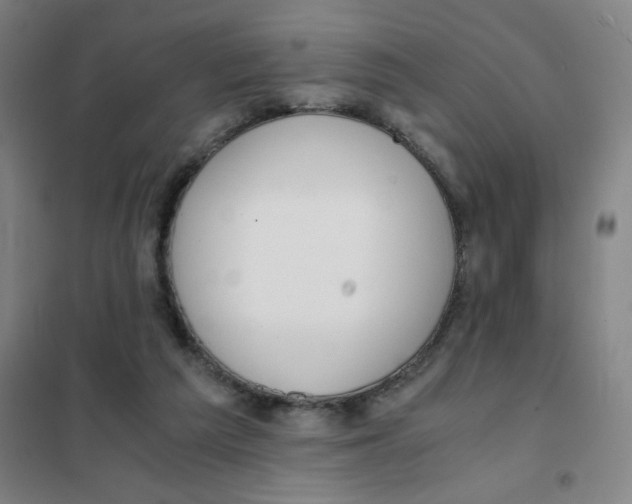 X0000101410209200808041112