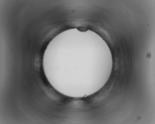 X0000101410210200808041112