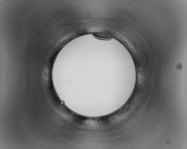 X0000101410211200808041112