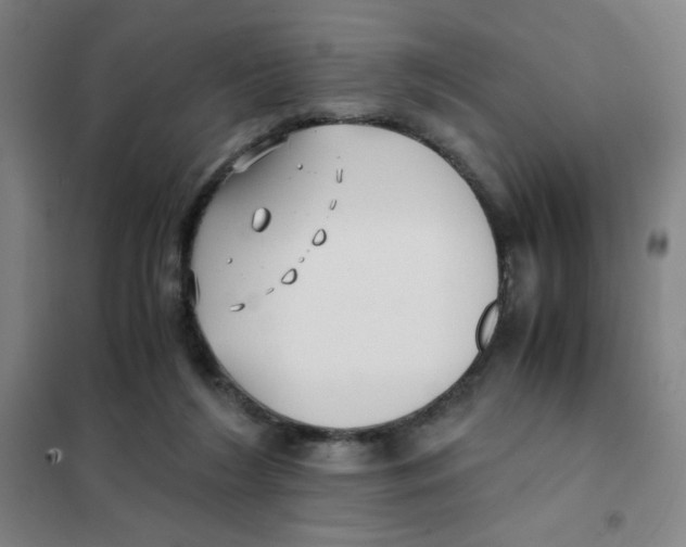 X0000101410212200808041112