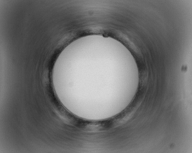 X0000101410213200808041112