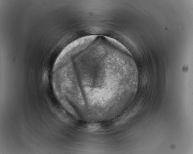 X0000101410214200808041112