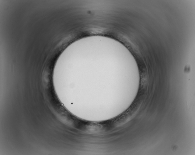 X0000101410215200808041112