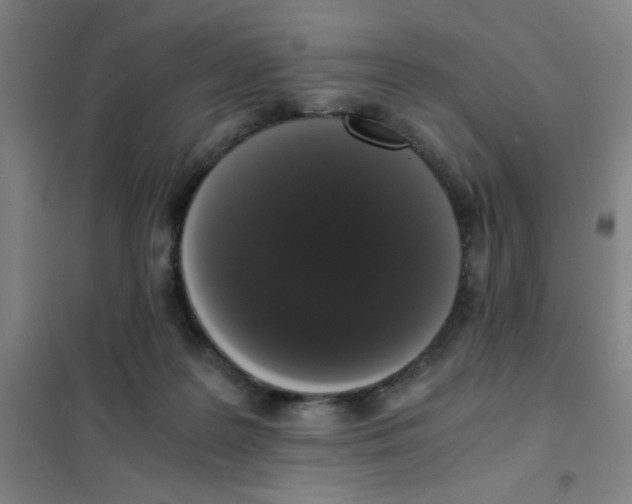 X0000101410219200808041112