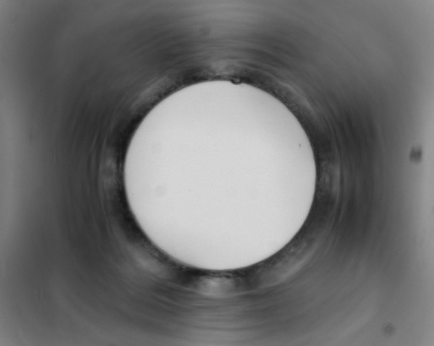 X0000101410220200808041112