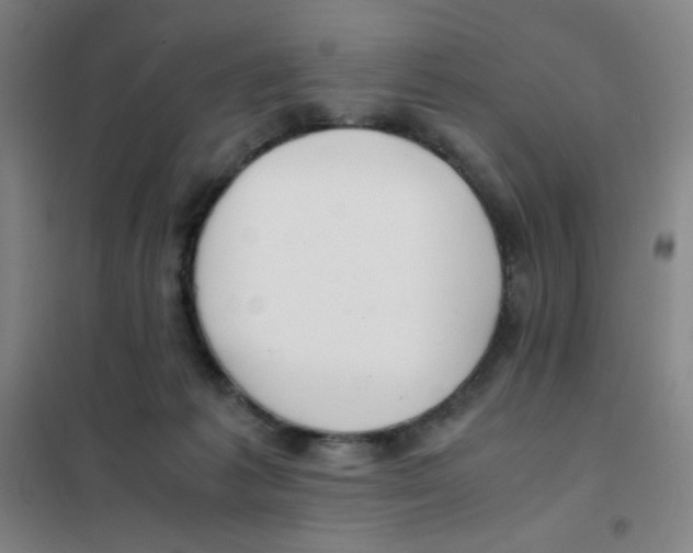X0000101410221200808041112