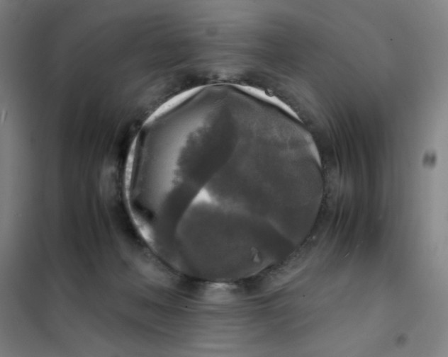 X0000101410222200808041112