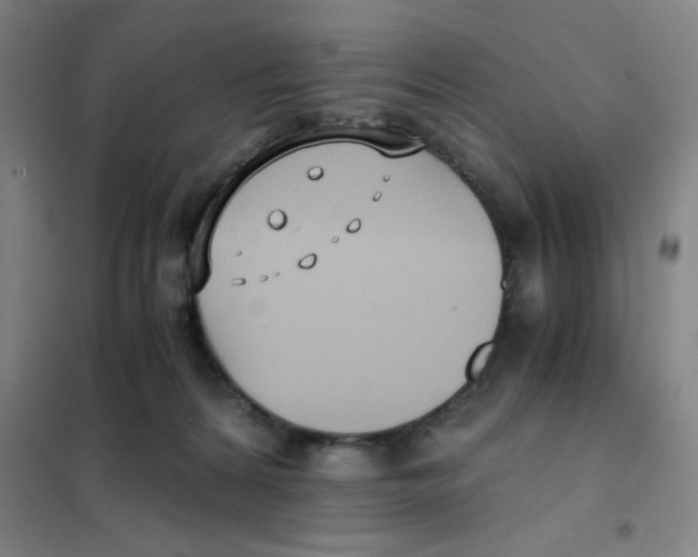 X0000101410224200808041112