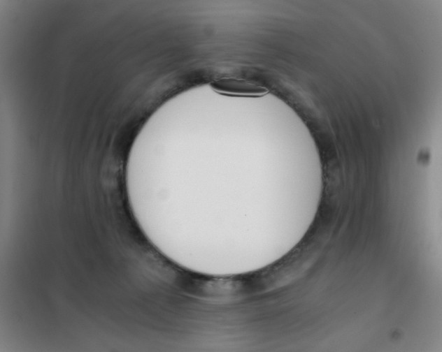X0000101410225200808041112