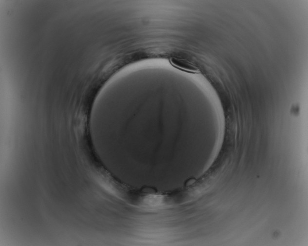 X0000101410227200808041112