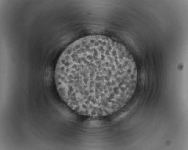 X0000101410228200808041112