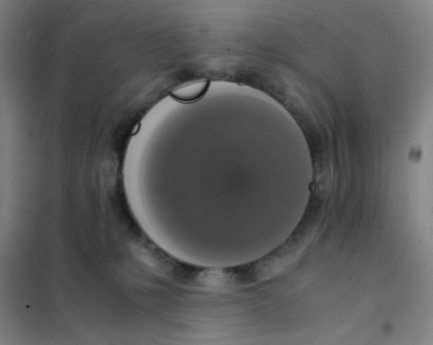X0000101410231200808041112