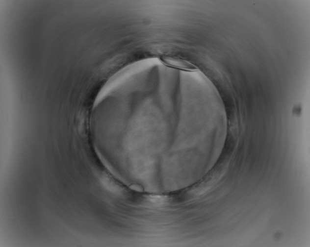 X0000101410233200808041112